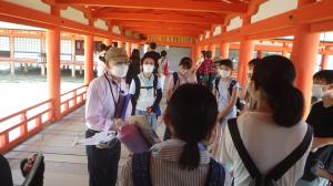 厳島神社にて観光ガイドの話を聞く平和大使の画像