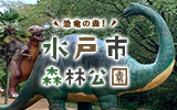 森林公園