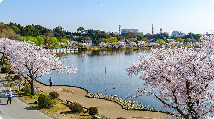 公園の写真