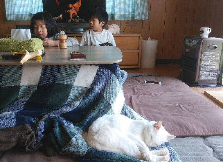 子供たちと猫が自宅のこたつでのんびりする
