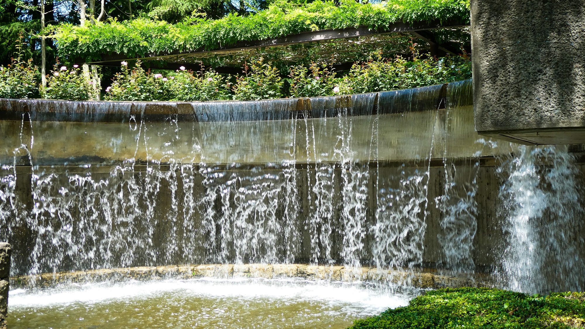 植物公園トップスライド画像3