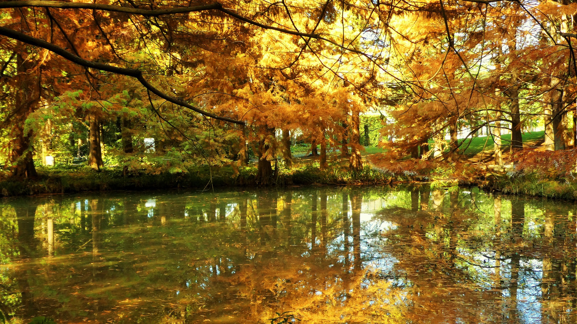 植物公園トップスライド画像4