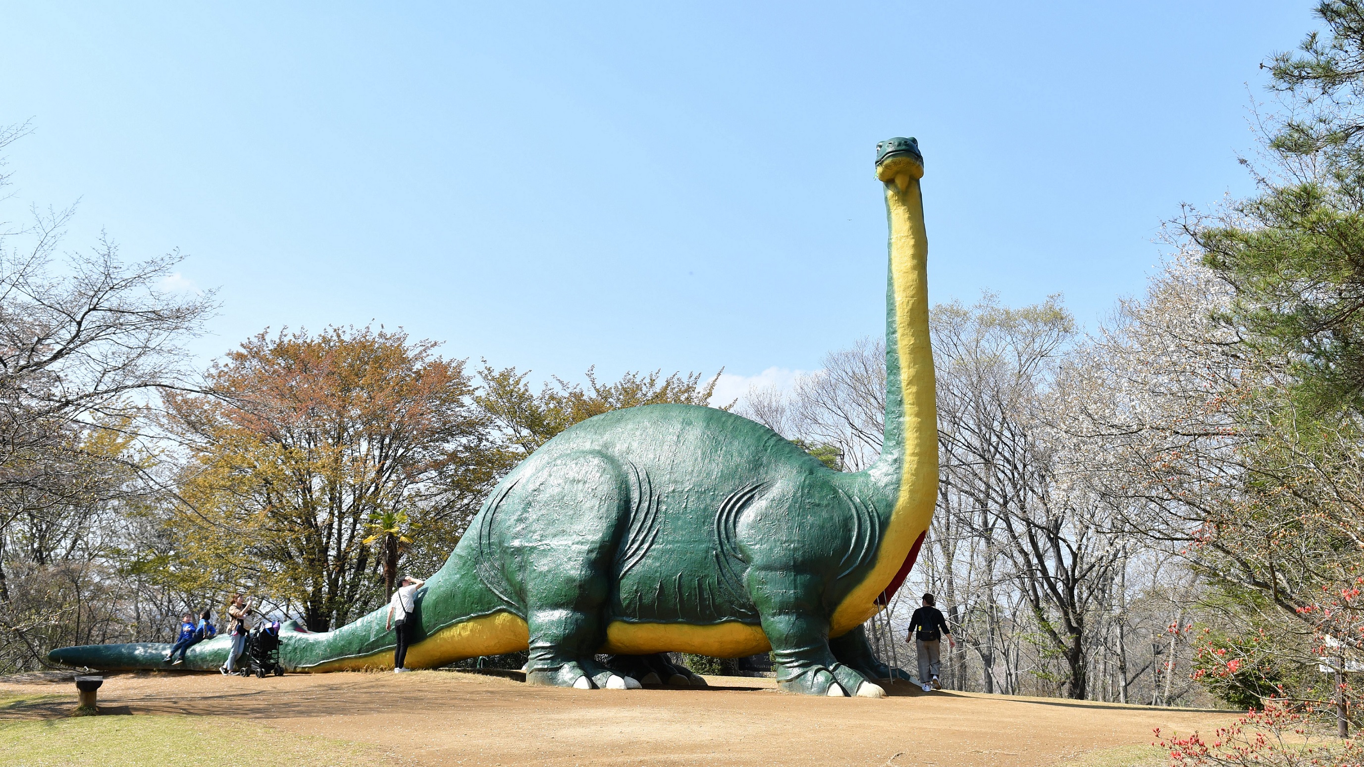 水戸市森林公園の画像