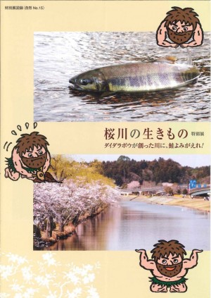 桜川の生きものの画像