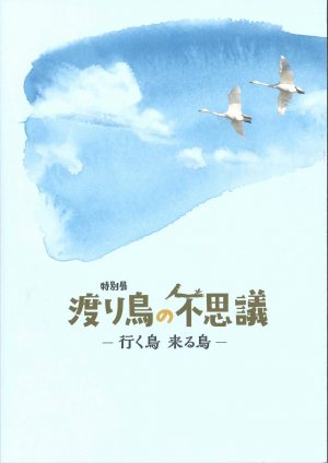 渡り鳥の不思議の画像