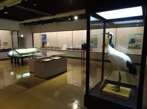 展示室の様子の画像