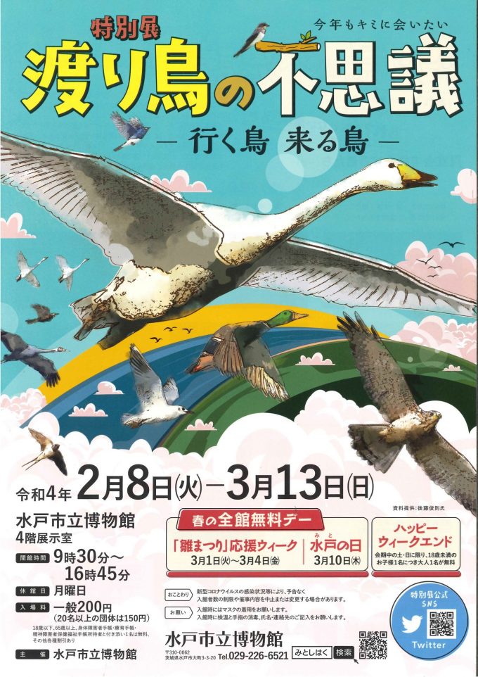 「渡り」に注目して、鳥たちの不思議な生態を紹介の画像