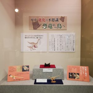 序章　進化の不思議　恐竜から鳥への画像