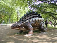 アンキロサウルス​の画像