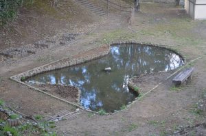 池の画像1