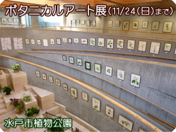 ボタニカルアート展の画像