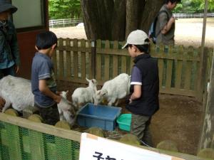 森林公園フェスティバルの画像