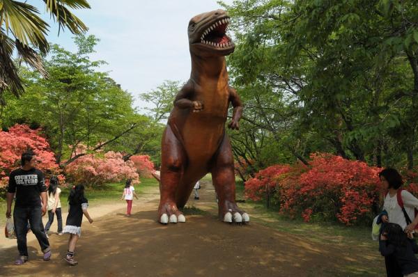 水戸市森林公園の画像