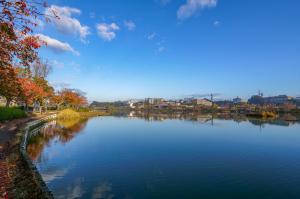 千波湖 紅葉の時期の写真