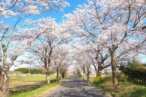 内原渡満道路の写真