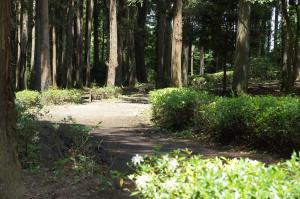 森林庭園の様子