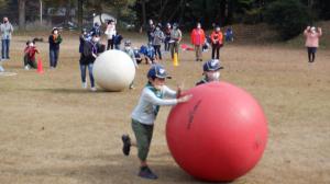 スカウト大会　大玉転がし