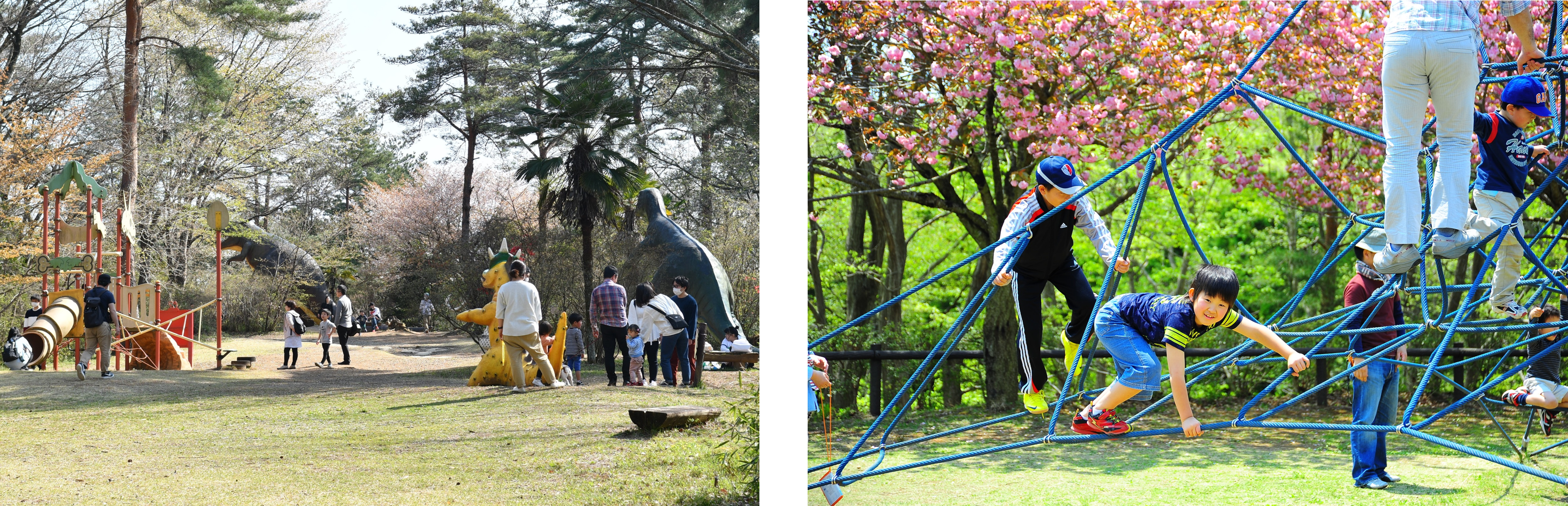 森林公園