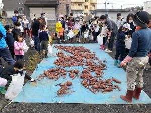 10月16日　芋掘り１