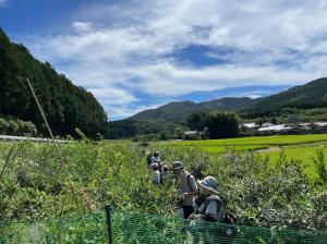 0811ブルーベリー狩り・栗拾い・芋ほり　ブルーベリー狩り