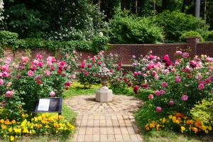 七ツ洞公園　秘密の花園