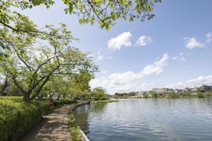 千波公園　千波湖