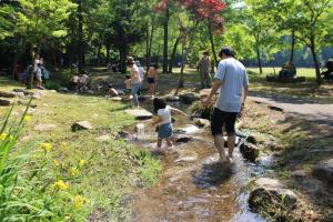 千波公園　せせらぎ広場