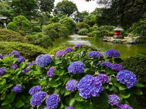 保和苑　日本庭園の様子