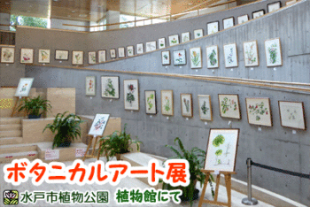 ボタニカルアート展の画像