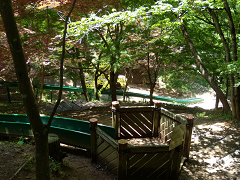 森林公園滑り台写真