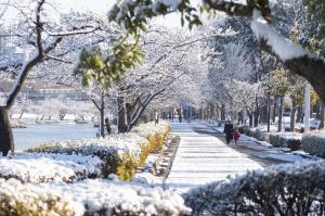 雪が降ったあとの千波湖