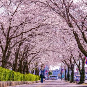 茨城県庁