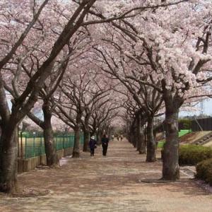 阿漕ヶ浦公園