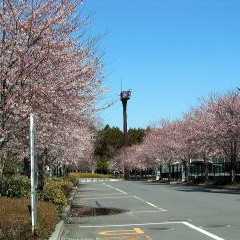 那珂総合公園