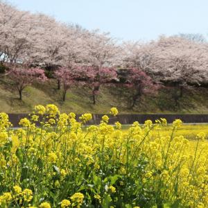 希望ヶ丘公園