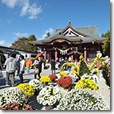 笠間稲荷神社