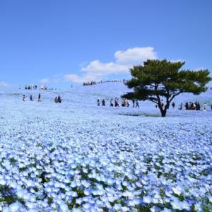 ひたち海浜公園