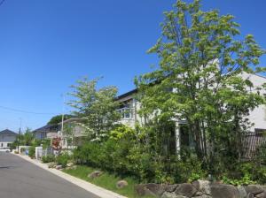 風致地区の緑化