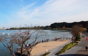 千波湖の風景
