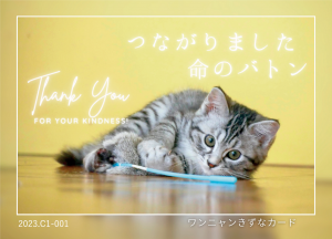 寄附者への返礼として配布している「ワンニャンきずなカード」（猫のデザイン）