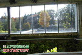 観賞大温室から植物館側を見て。の画像