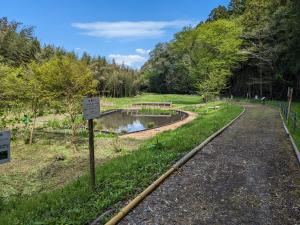 渡里湧水群の全景