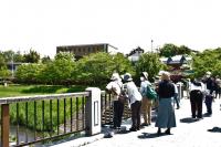 春の植物観察会の様子6