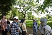 春の植物観察会の様子9