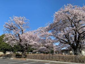 堀原地区住民の会の写真です