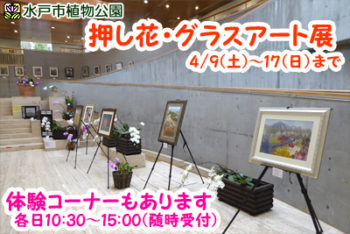 押し花・グラスアート展の画像