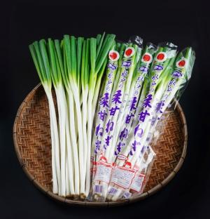 柔甘ねぎ