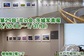 第29回「花の会」茨城写真展の画像