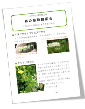 観察会資料イメージ１