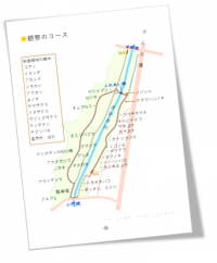 観察会資料イメージ2
